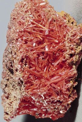 Большая Советская Энциклопедия (ЦВ) - i009-001-240347610.jpg