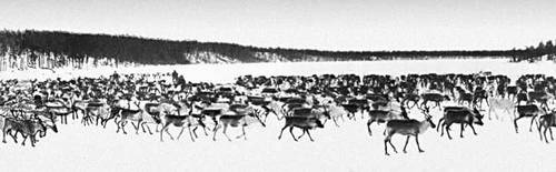 Большая Советская Энциклопедия (ЭВ) - i009-001-240789652.jpg