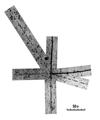 Большая Советская Энциклопедия (ЯД) - i010-001-263206293.jpg