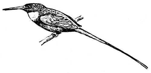 Большая Советская Энциклопедия (ЯК) - i009-001-212978285.jpg