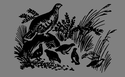 В лесах счастливой охоты - i_006.png