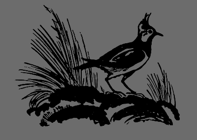 В лесах счастливой охоты - i_073.png