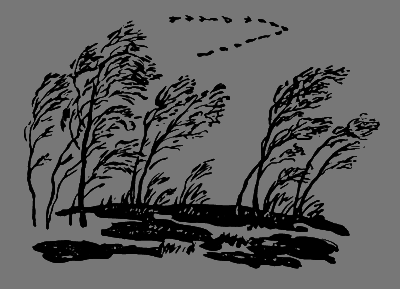 В лесах счастливой охоты - i_082.png