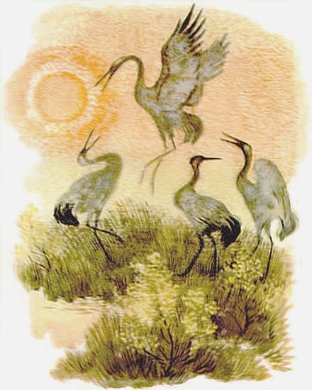 В лесах счастливой охоты - i_083.jpg