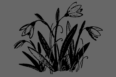 В лесах счастливой охоты - i_084.png