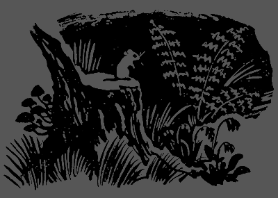 В лесах счастливой охоты - i_088.png