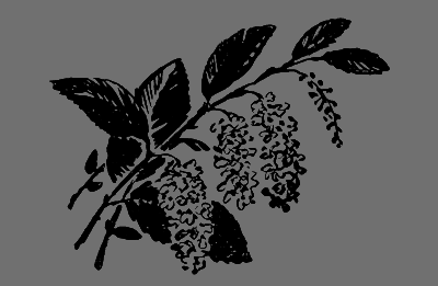 В лесах счастливой охоты - i_092.png