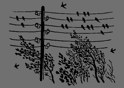 В лесах счастливой охоты - i_093.png