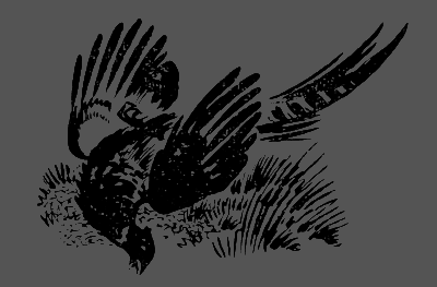 В лесах счастливой охоты - i_096.png