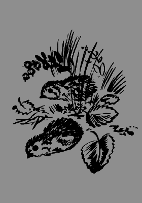 В лесах счастливой охоты - i_103.png