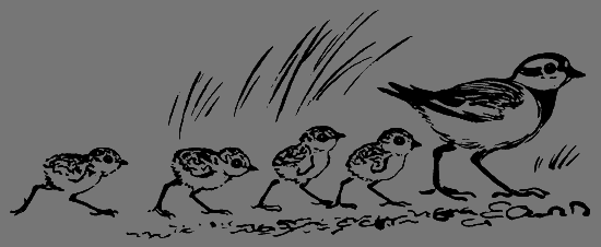 В лесах счастливой охоты - i_105.png