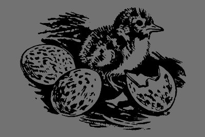 В лесах счастливой охоты - i_108.png