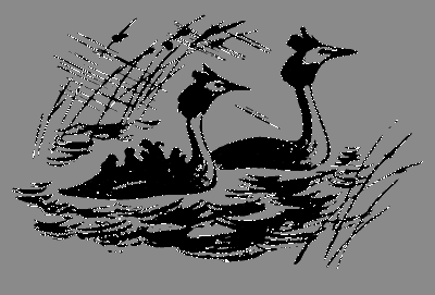 В лесах счастливой охоты - i_111.png