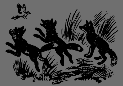 В лесах счастливой охоты - i_112.png