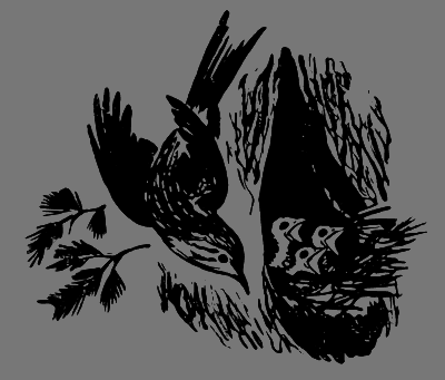 В лесах счастливой охоты - i_114.png