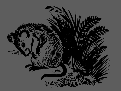 В лесах счастливой охоты - i_131.png