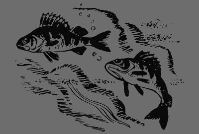 В лесах счастливой охоты - i_147.png