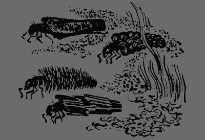 В лесах счастливой охоты - i_149.png