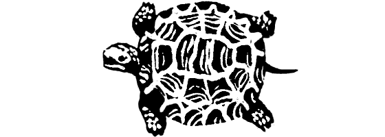 Земля солнечного огня - i_121.png