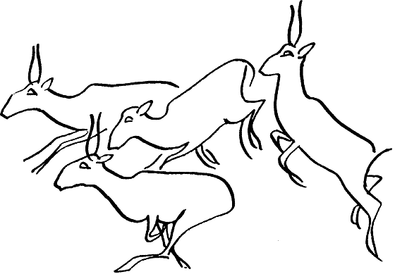 Земля солнечного огня - i_212.png