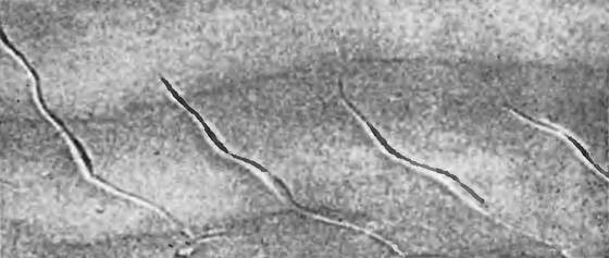 Земля солнечного огня - i_219.jpg