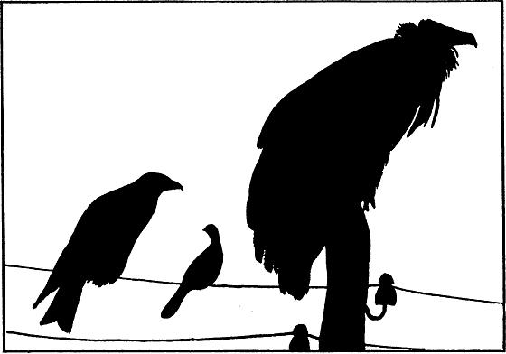 Земля солнечного огня - i_251.png