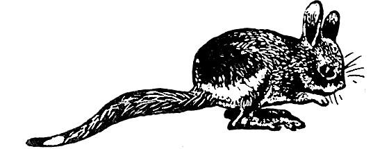 Земля солнечного огня - i_256.png