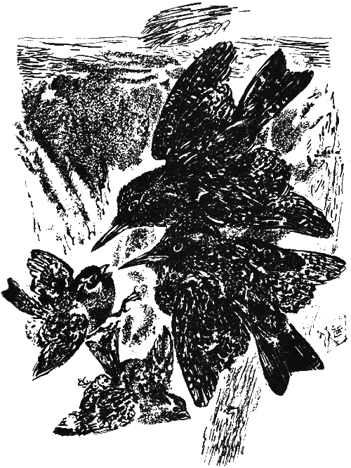 Медовый дождь - i_037.png