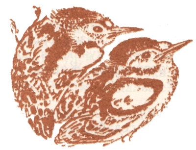 Медовый дождь - i_047.png