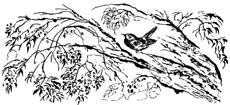 Медовый дождь - i_048.png