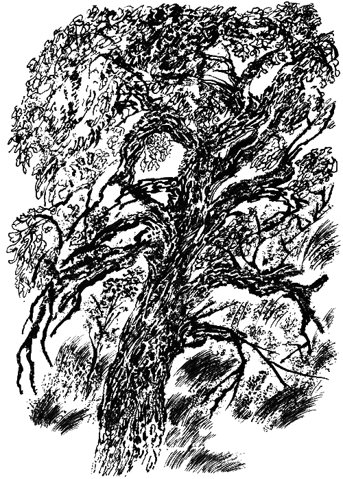 Медовый дождь - i_061.png