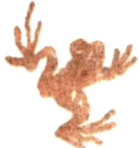 Медовый дождь - i_062.png