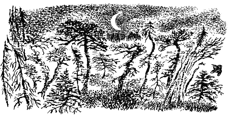 Медовый дождь - i_065.png