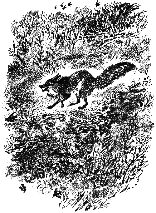 Медовый дождь - i_066.png