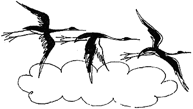 Планета чудес - i_028.png