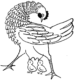 Планета чудес - i_030.png