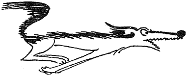 Планета чудес - i_040.png