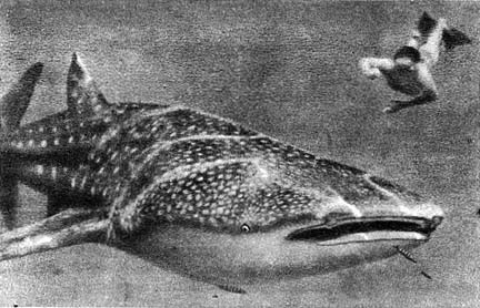 Планета чудес - i_069.jpg