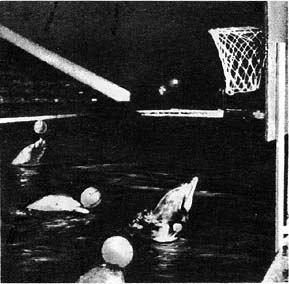 Планета чудес - i_090.jpg