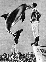 Планета чудес - i_091.jpg