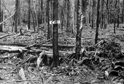 Планета чудес - i_099.jpg