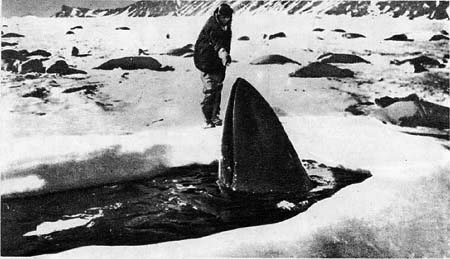 Планета чудес - i_100.jpg