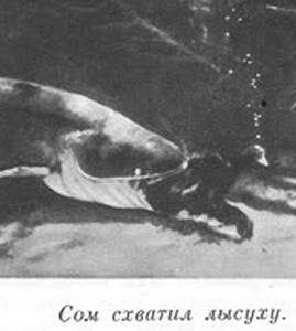 Подводная газета - _075.jpg