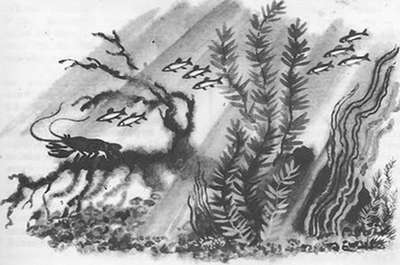 Подводная газета - _102.jpg