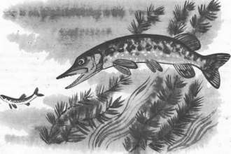 Подводная газета - _103.jpg