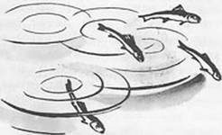 Подводная газета - _105.jpg