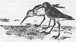 Подводная газета - _109.jpg