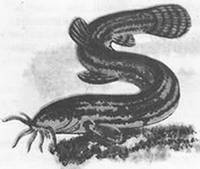 Подводная газета - _111.jpg