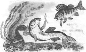 Подводная газета - _115.jpg