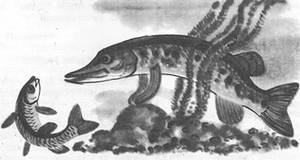 Подводная газета - _118.jpg